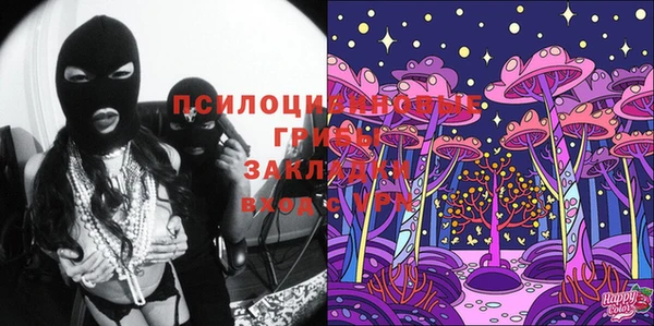 молекула духа Лагань