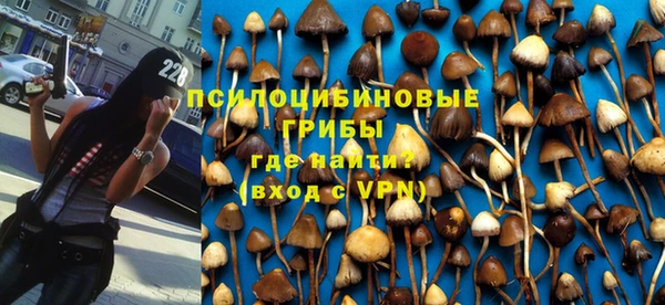 МДПВ Ладушкин