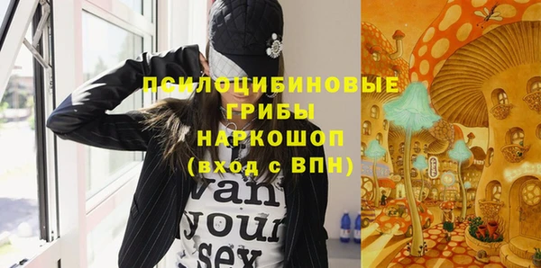 молекула духа Лагань