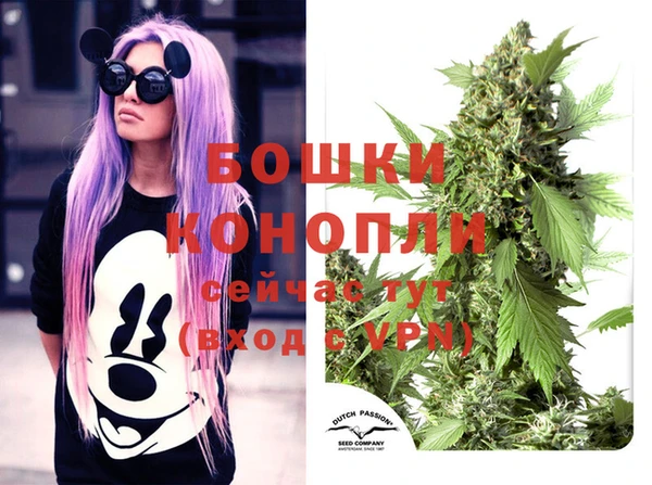 молекула духа Лагань
