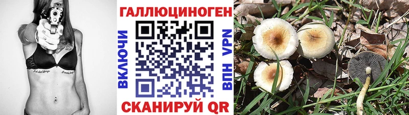 купить наркотик  Мглин  kraken маркетплейс  Псилоцибиновые грибы мицелий 
